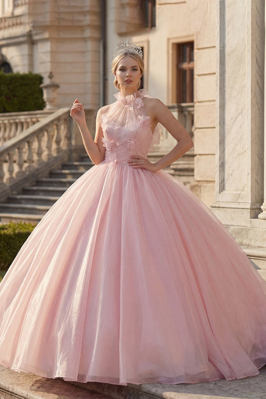 Robe de bal de Quinceañera Blush avec applications et col halter